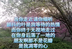 一棵开花的树朗诵视频,一场视觉与听觉的盛宴