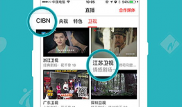 看片直播的APP,畅享影视盛宴，尽在指尖一触