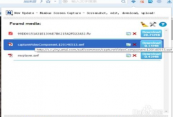 怎么下载网页里的视频,一键掌握视频下载技巧